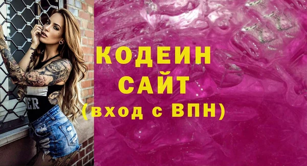 молекула духа Арсеньев