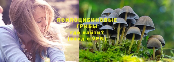 молекула духа Арсеньев