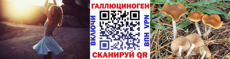 Псилоцибиновые грибы MAGIC MUSHROOMS Лесосибирск